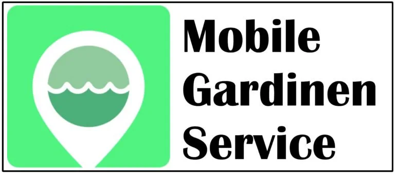 Mobiler Gardinenreinigung in Rhein-Main-Gebiet